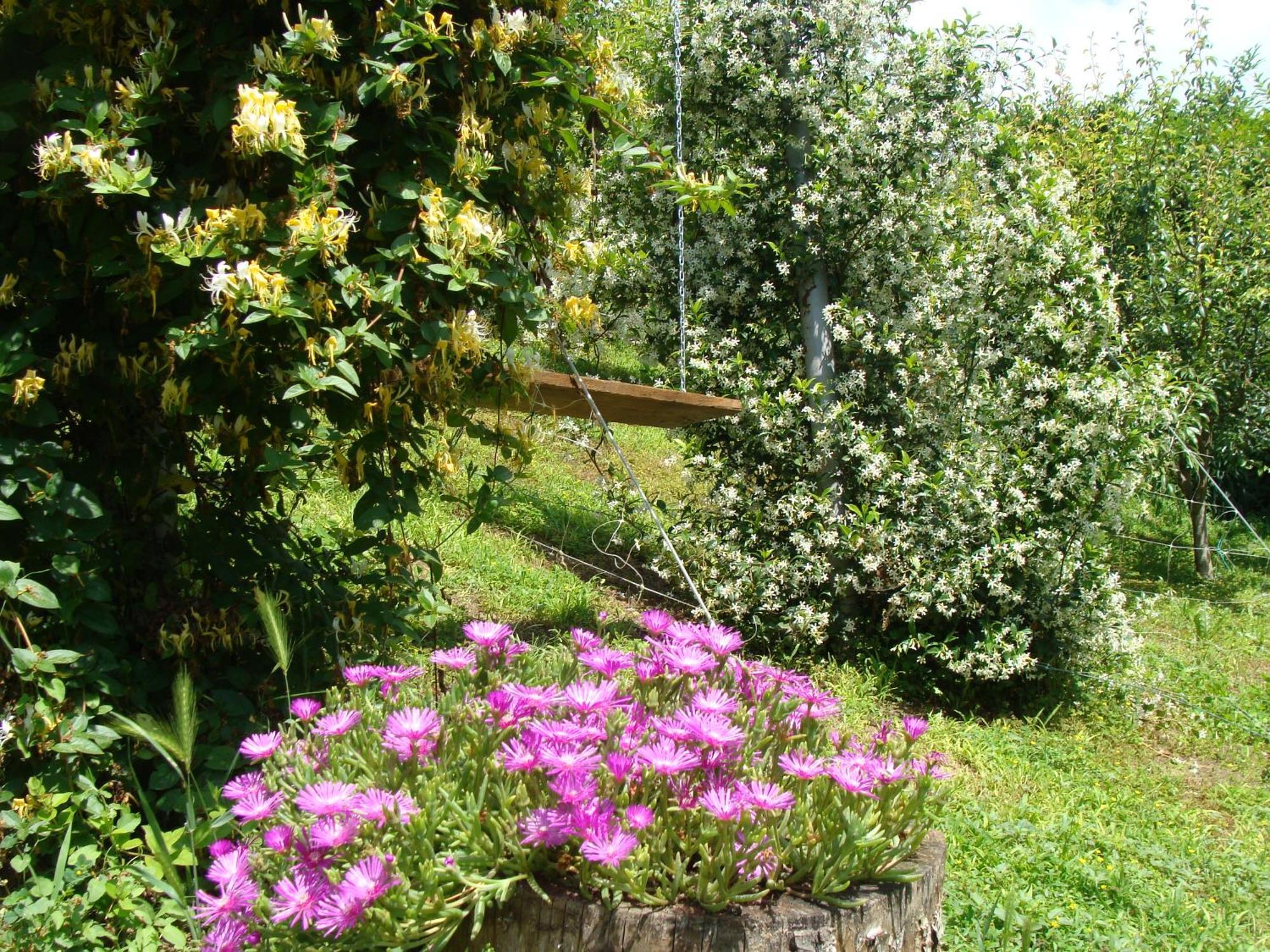 Appartamento In Monferrato Di Dominga Portacomaro Eksteriør billede
