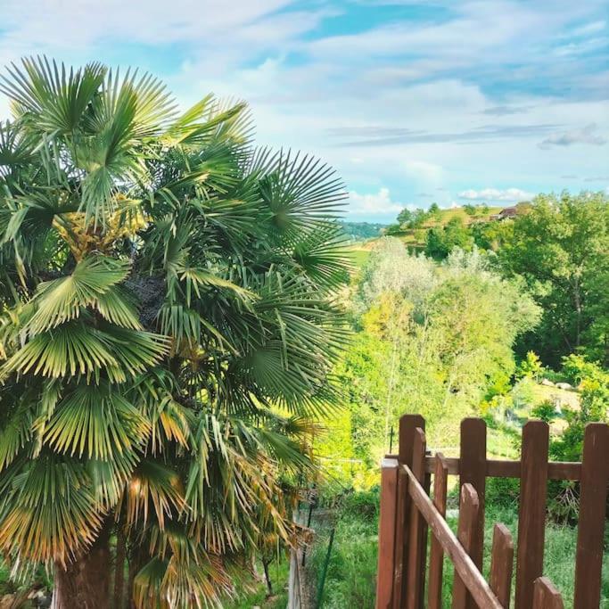 Appartamento In Monferrato Di Dominga Portacomaro Eksteriør billede